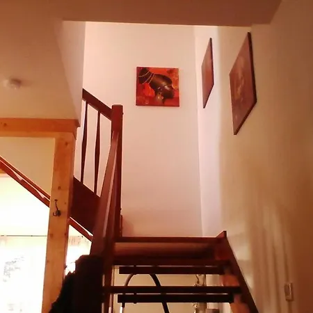 Ferienwohnungen Im Haus Waldstueck Lärz Eksteriør billede