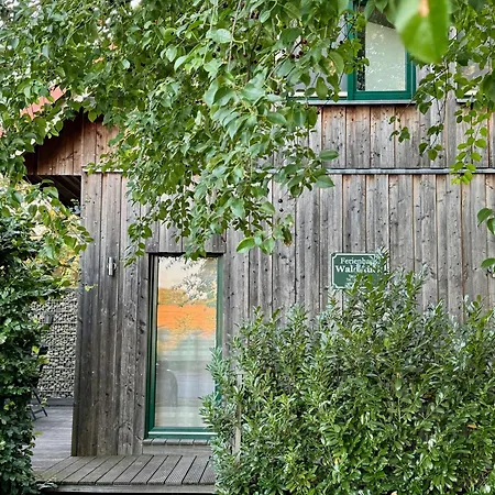 Ferienwohnungen Im Haus Waldstueck Lärz Eksteriør billede